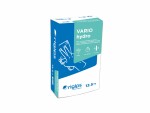 RIGIPS® Vario Hydro (12,5kg)